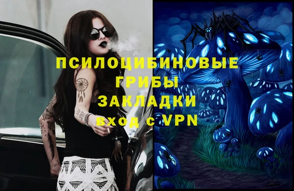 индика Лихославль