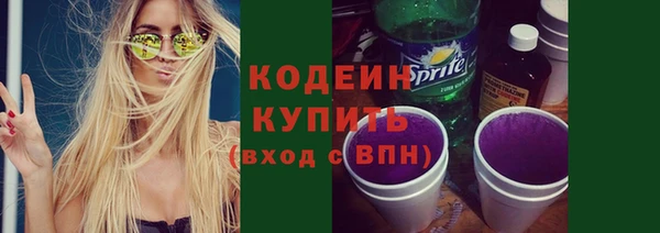 индика Лихославль