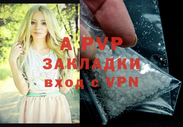 индика Лихославль