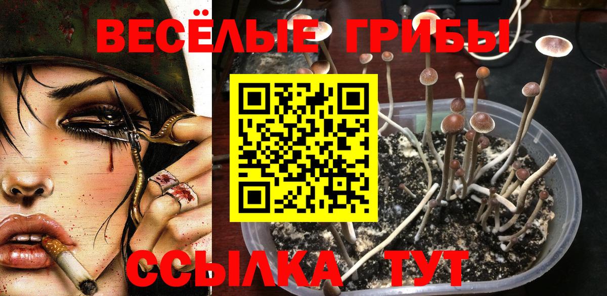 Псилоцибиновые грибы MAGIC MUSHROOMS Нефтекамск