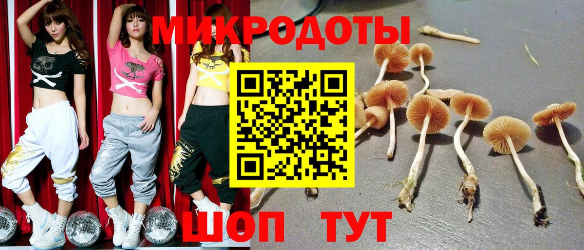 Галлюциногенные грибы Psilocybine cubensis Нефтекамск