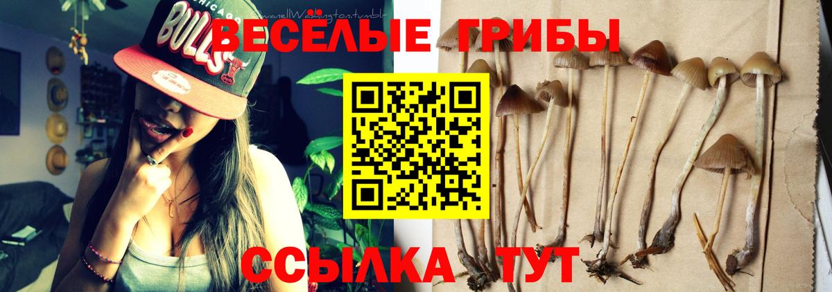 Галлюциногенные грибы мухоморы  Псилоцибиновые грибы мицелий  Нефтекамск 