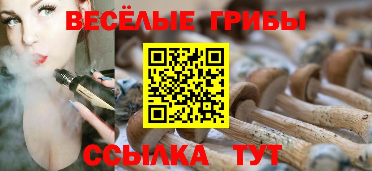 Псилоцибиновые грибы Psilocybine cubensis  Вход с VPN  Нефтекамск  Галлюциногенные грибы MAGIC MUSHROOMS 